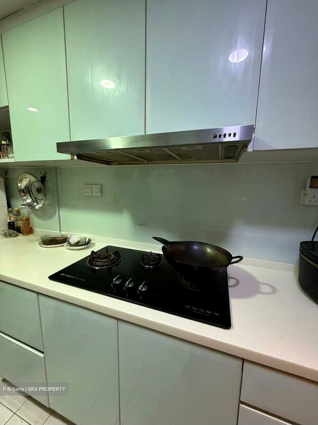 Hazel Park Condominium (D23), Condominium #495983561